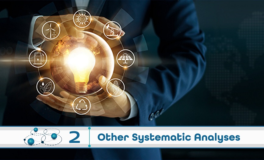 Level 2: Other Systematic Analysis