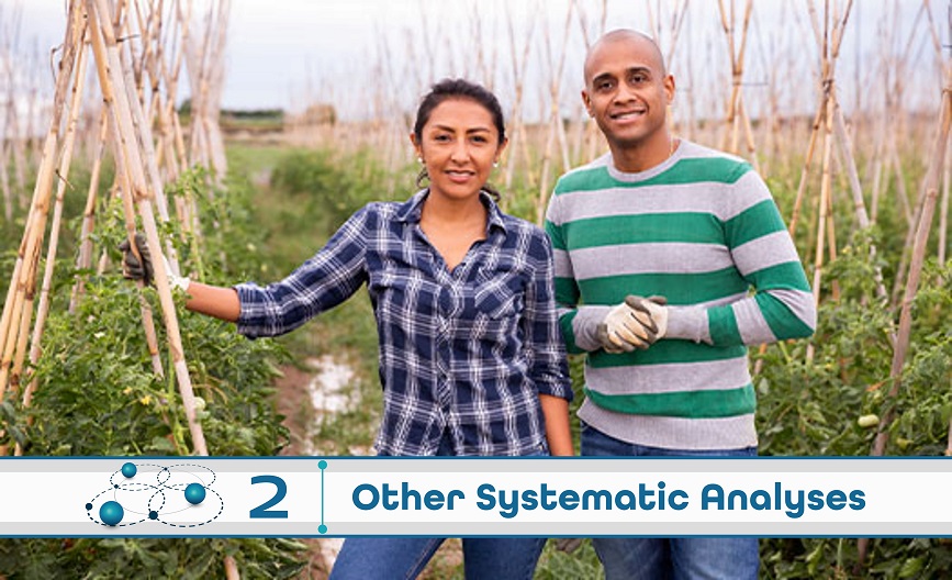 Level 2: Other Systematic Analysis