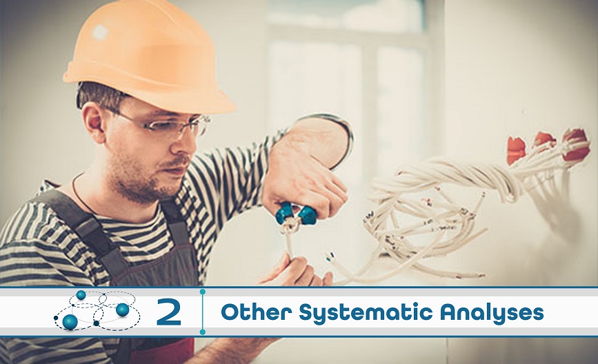 Level 2: Other Systematic Analysis