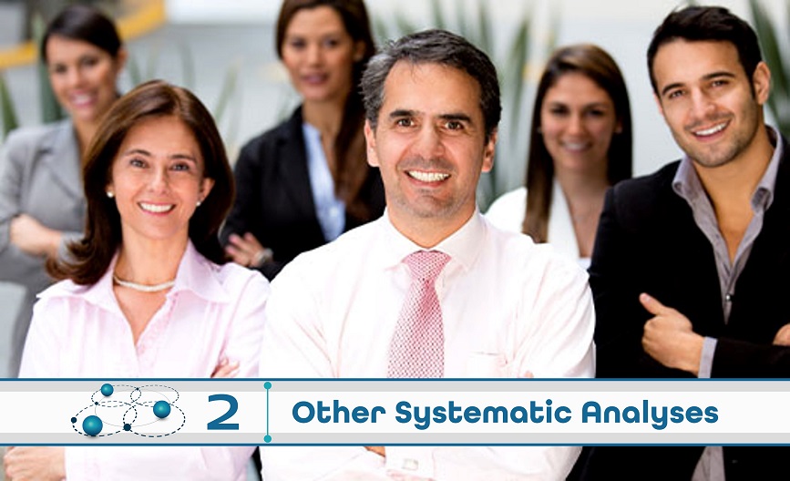 Level 2: Other Systematic Analysis