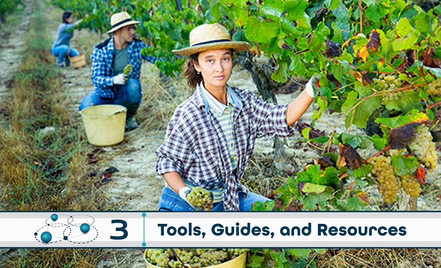  Level 3: Tools, Guides, and Resources