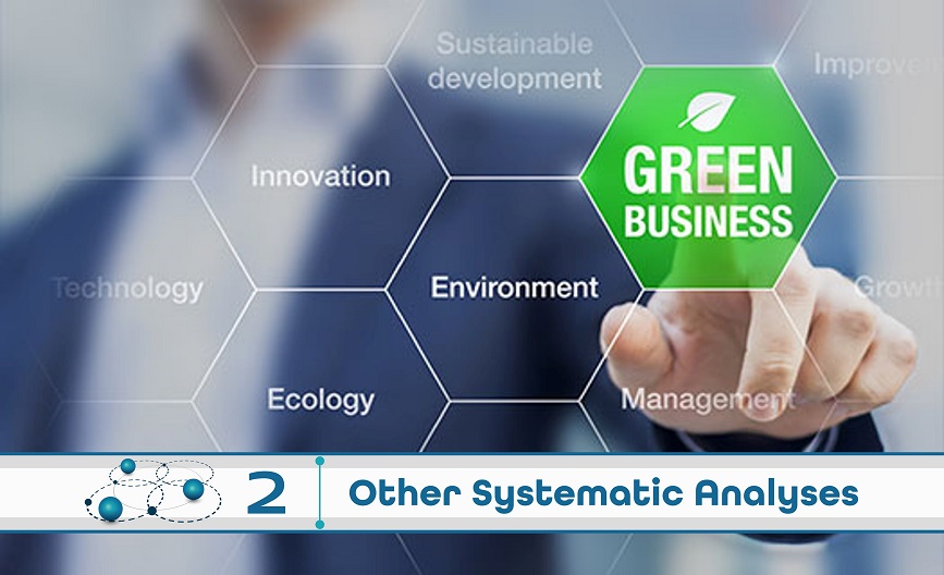 Level 2: Other Systematic Analysis