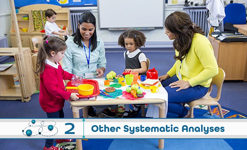 Level 2: Other Systematic Analysis