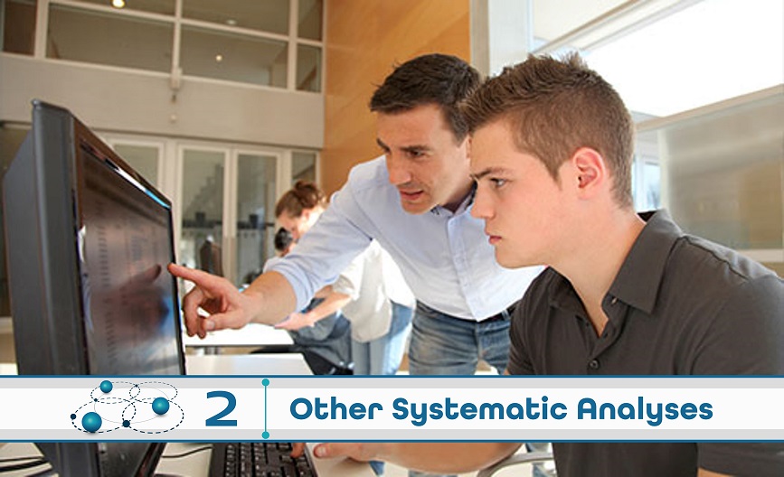 Level 2: Other Systematic Analysis