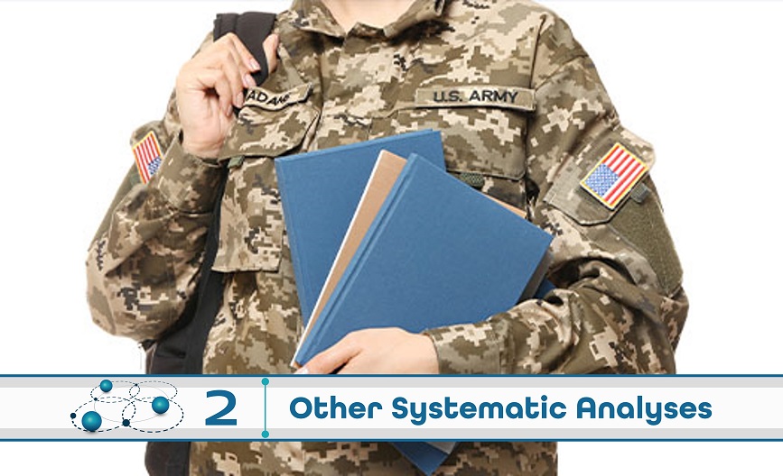 Level 2: Other Systematic Analysis