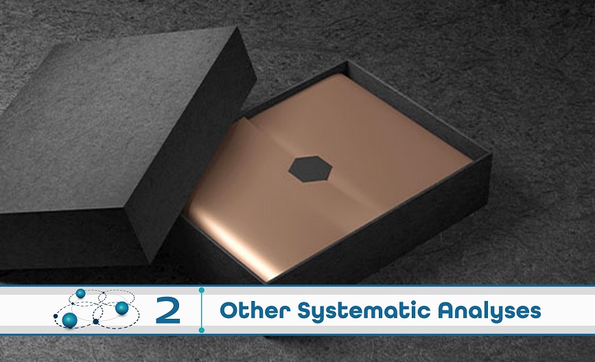 Level 2: Other Systematic Analysis