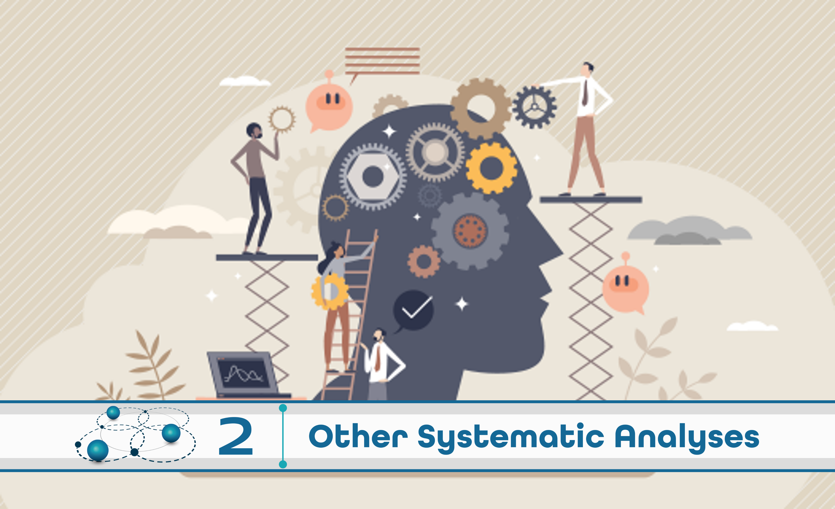 Level 2: Other Systematic Analysis