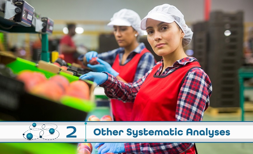 Level 2: Other Systematic Analysis