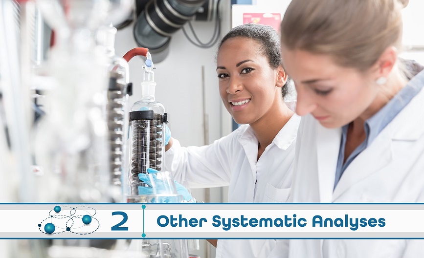 Level 2: Other Systematic Analysis