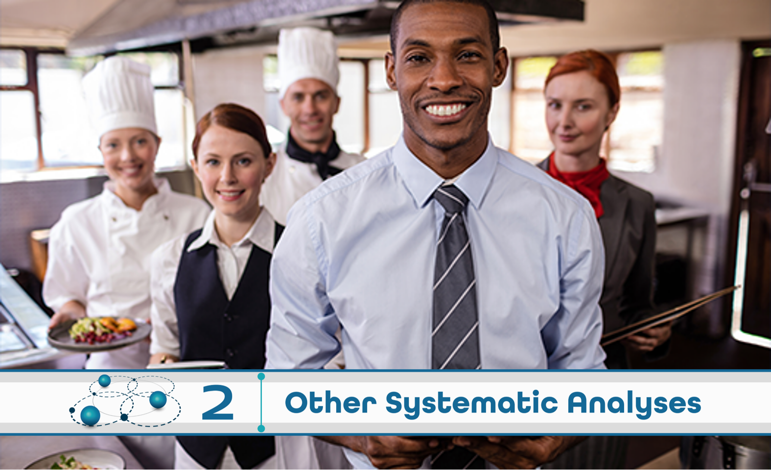 Level 2: Other Systematic Analysis