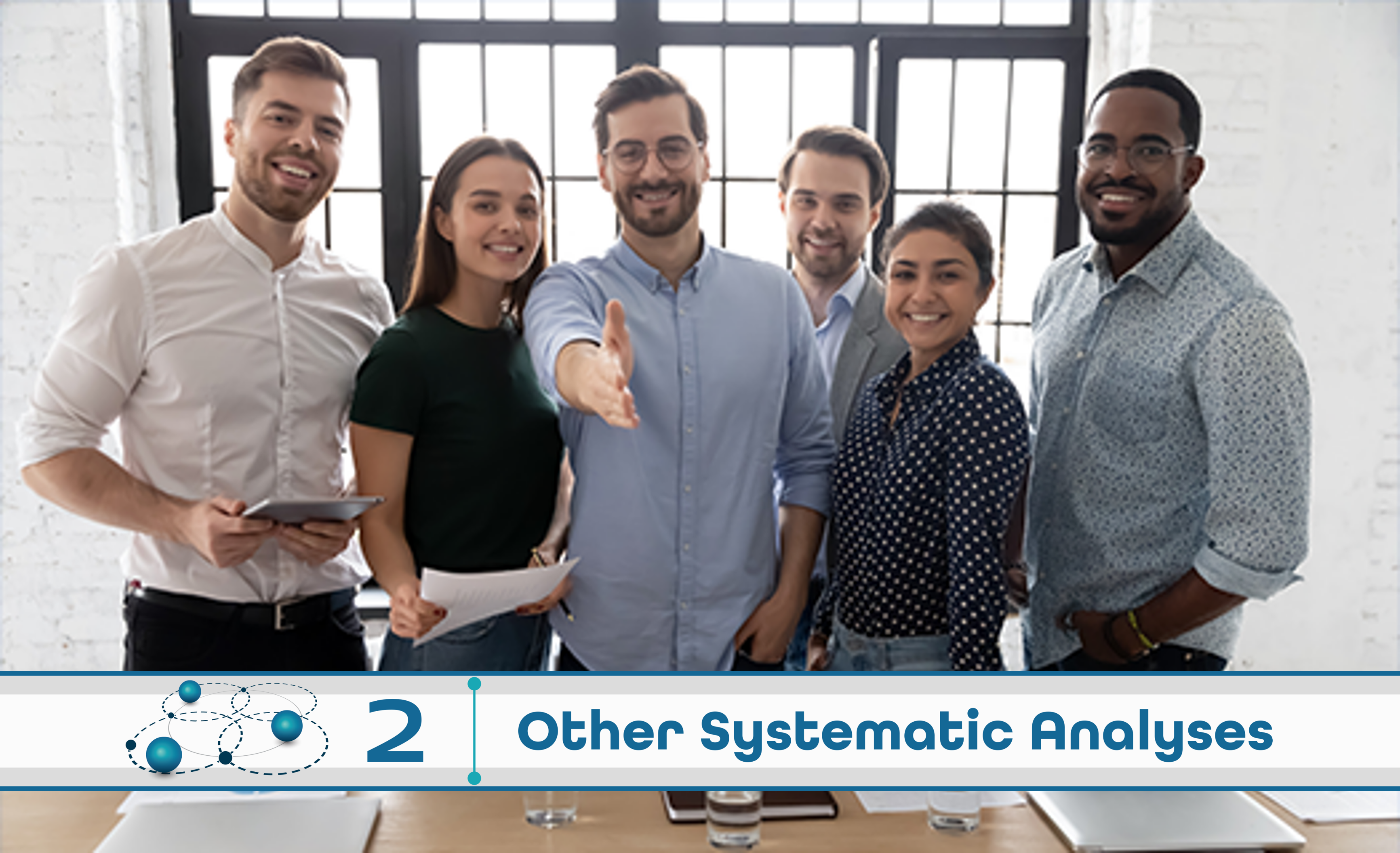 Level 2: Other Systematic Analysis