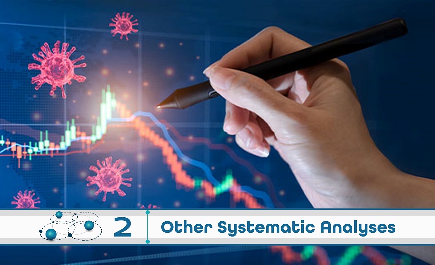 Level 2: Other Systematic Analysis