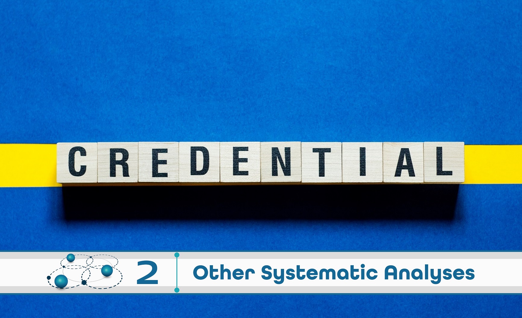 Level 2: Other Systematic Analysis