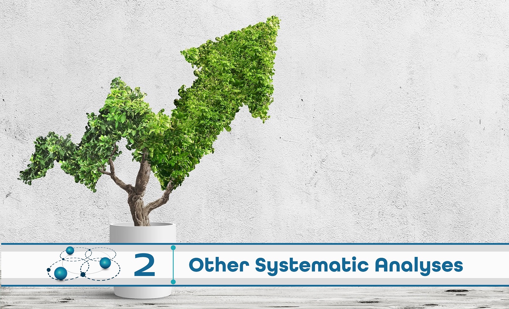 Level 2: Other Systematic Analysis