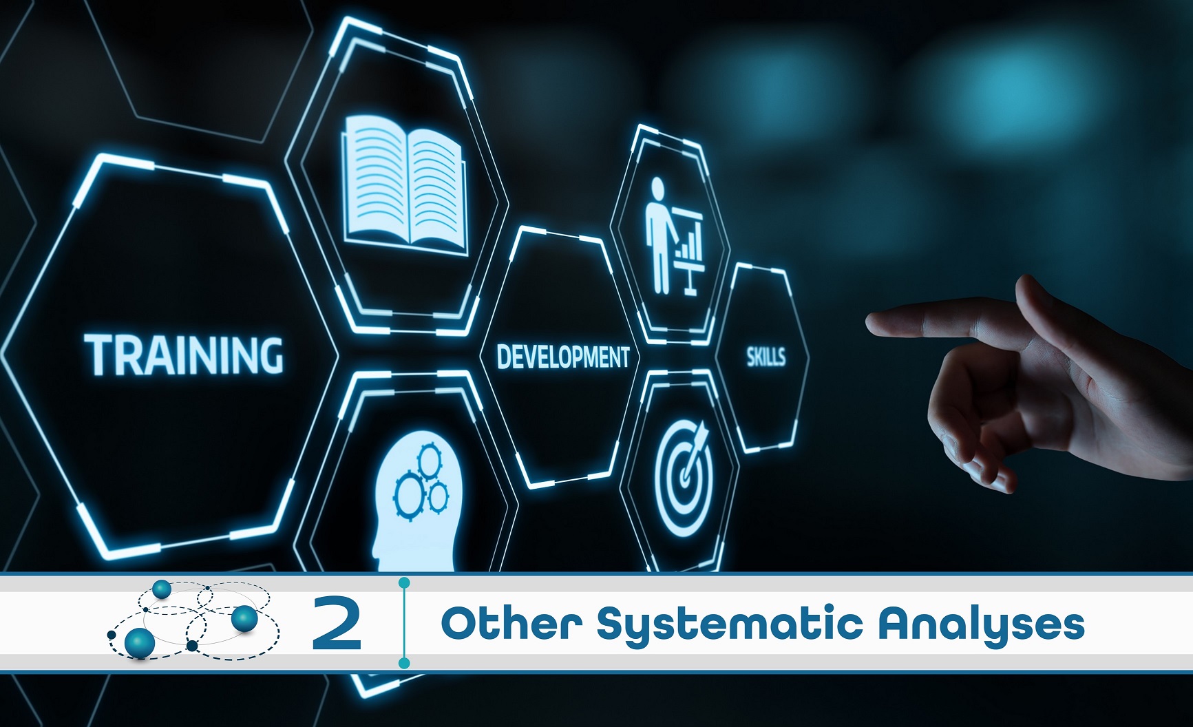 Level 2: Other Systematic Analysis