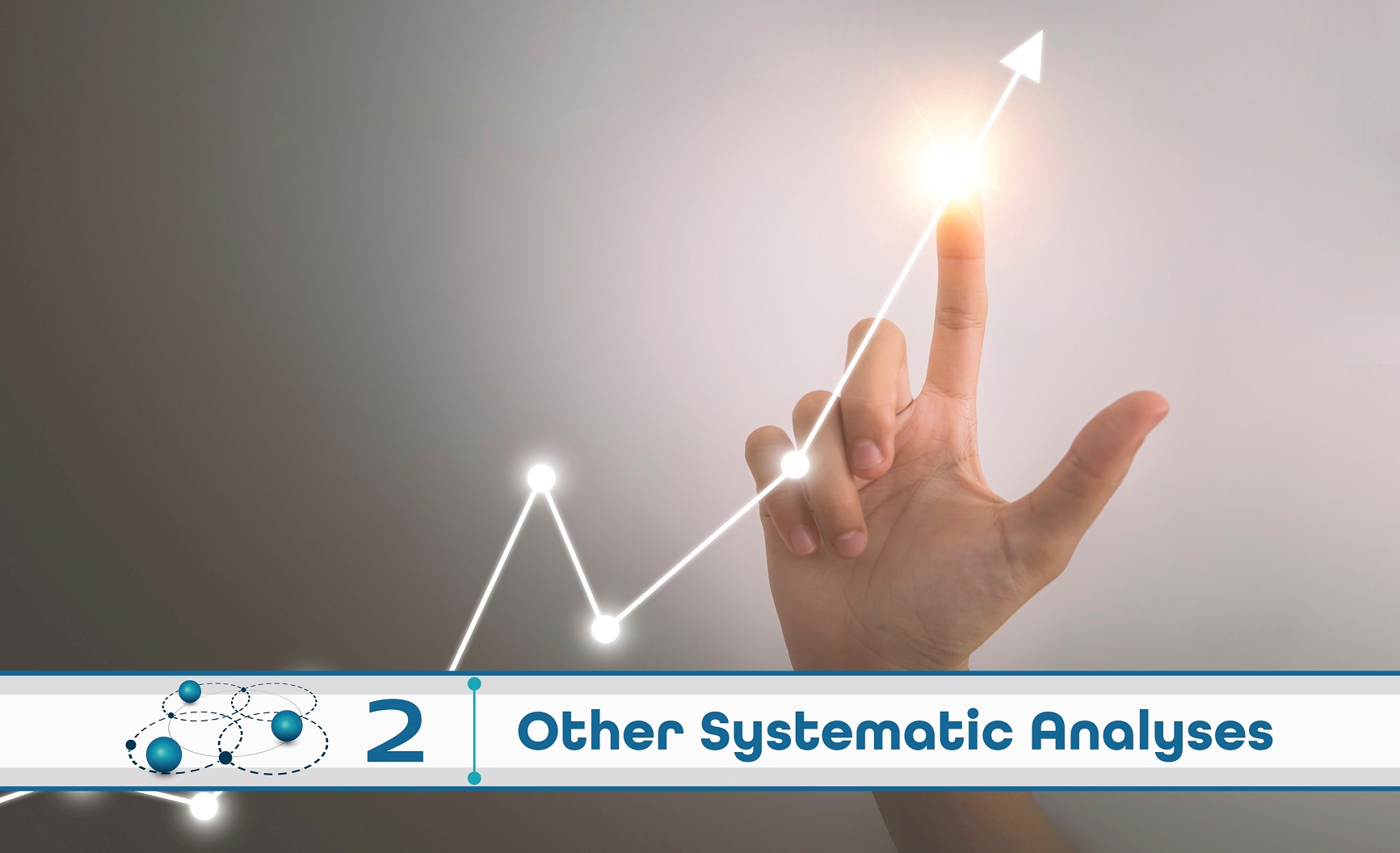 Level 2: Other Systematic Analysis