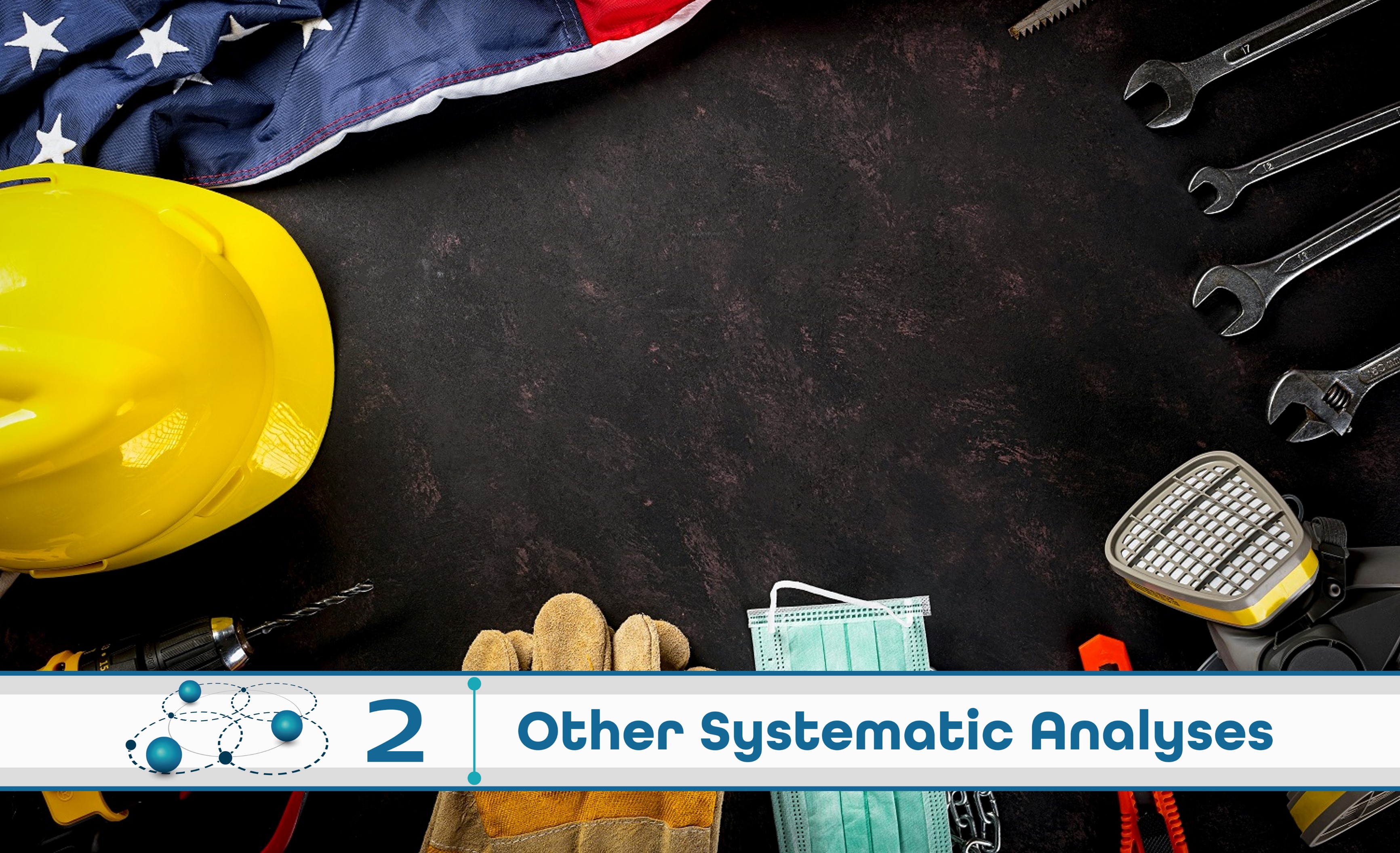 Level 2: Other Systematic Analysis