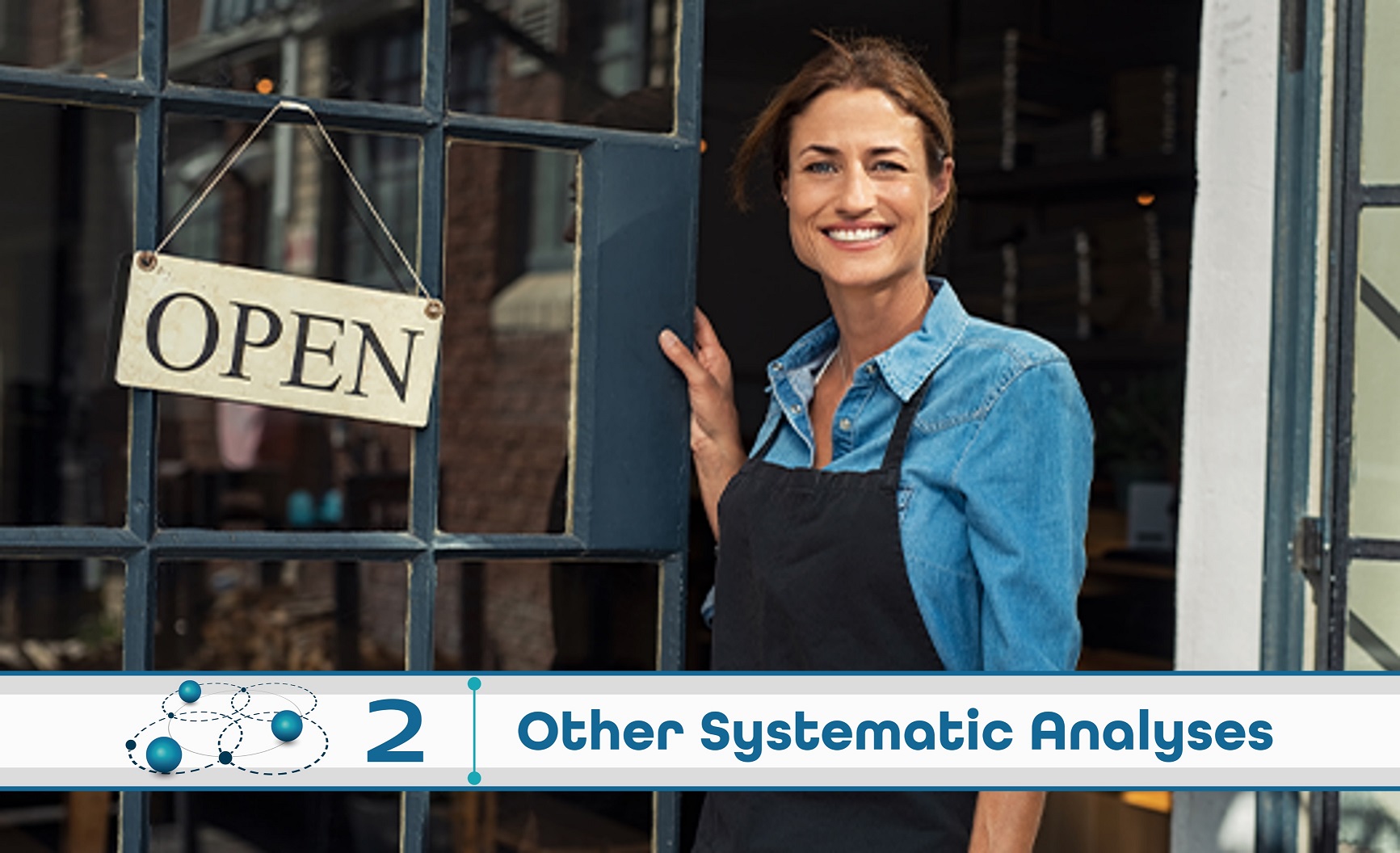 Level 2: Other Systematic Analysis