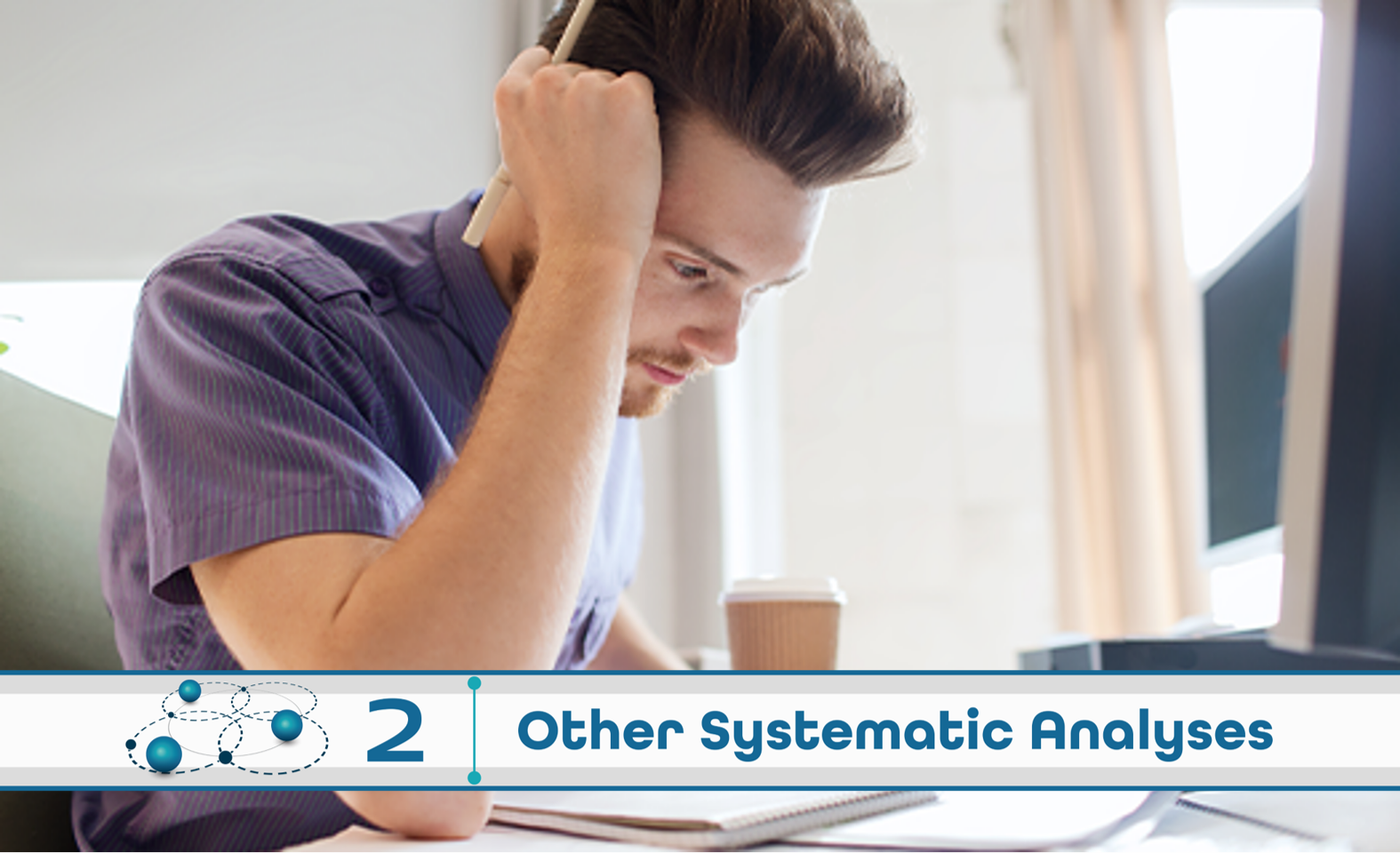 Level 2: Other Systematic Analysis