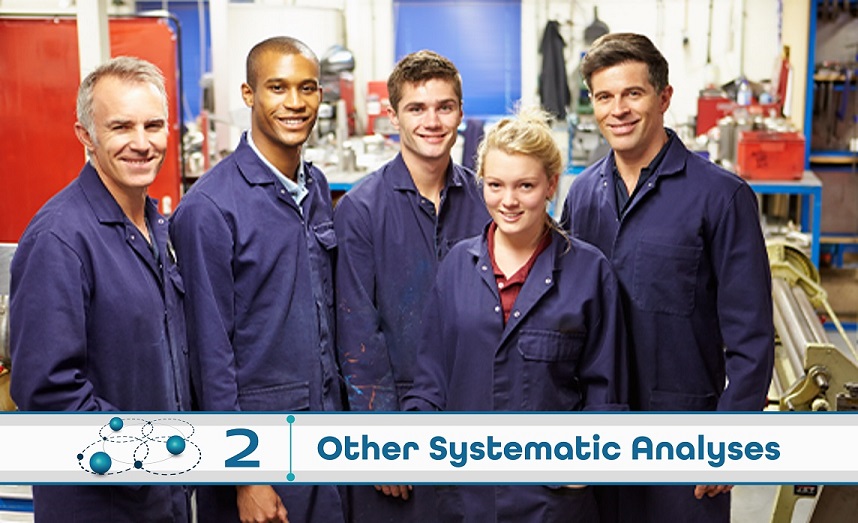 Level 2: Other Systematic Analysis