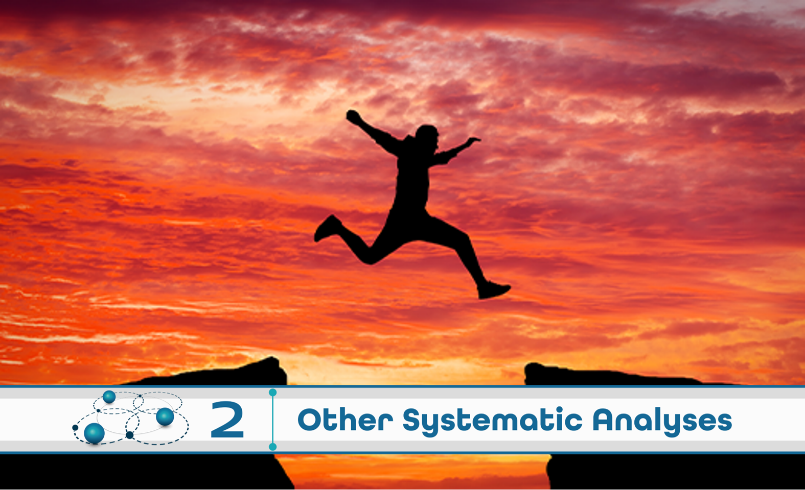Level 2: Other Systematic Analysis