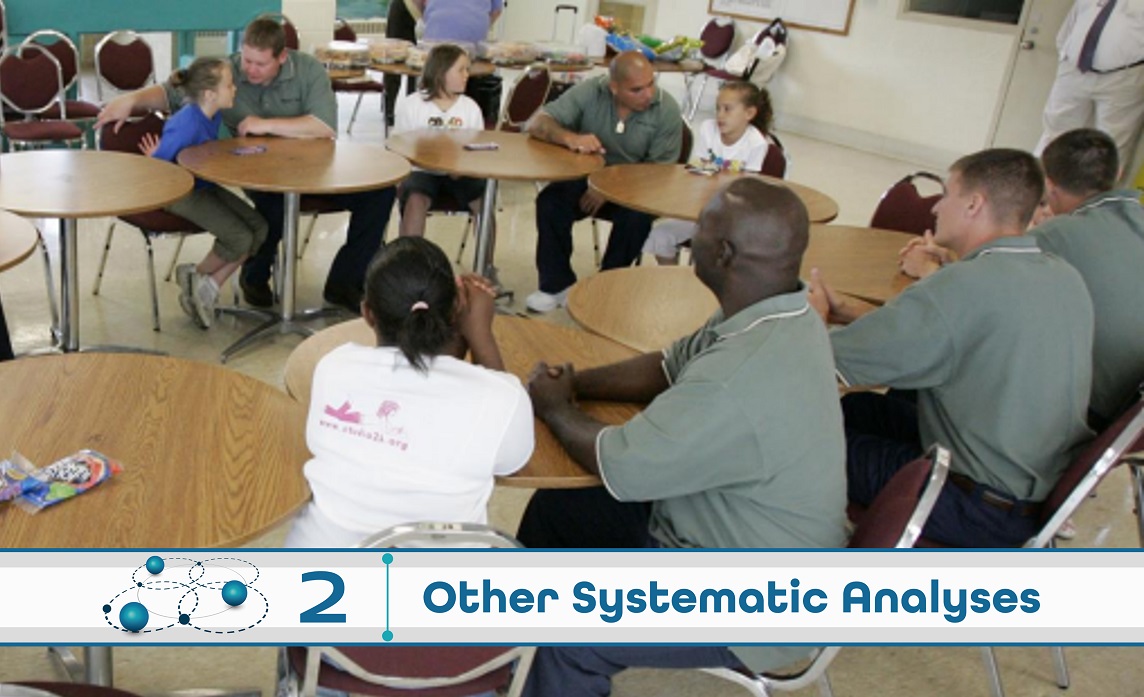 Level 2: Other Systematic Analysis