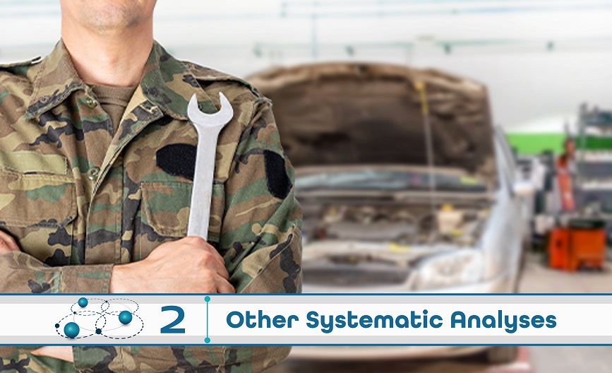 Level 2: Other Systematic Analysis