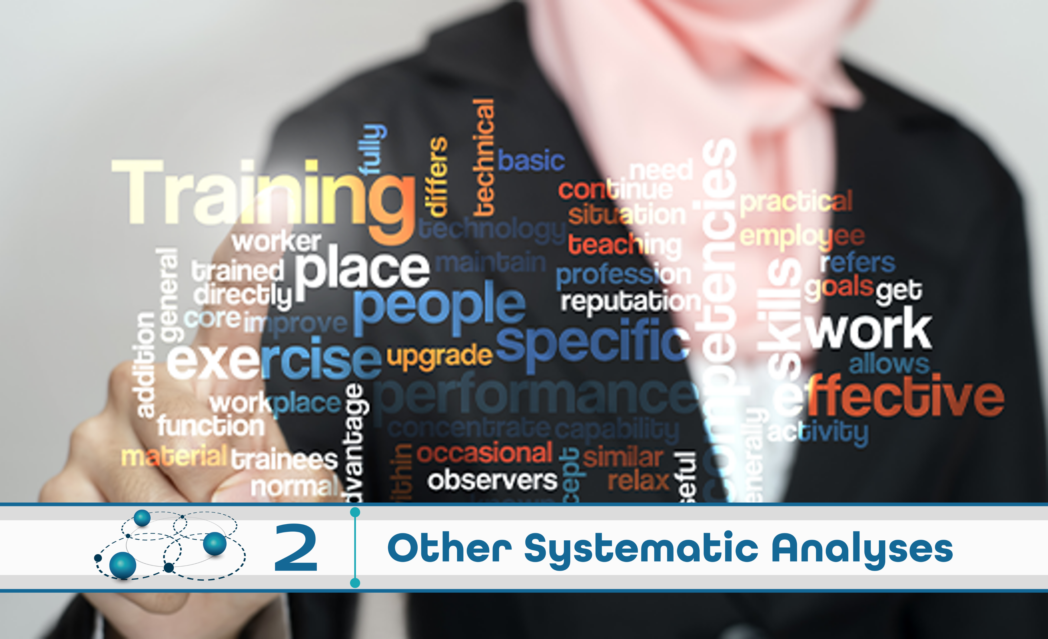 Level 2: Other Systematic Analysis