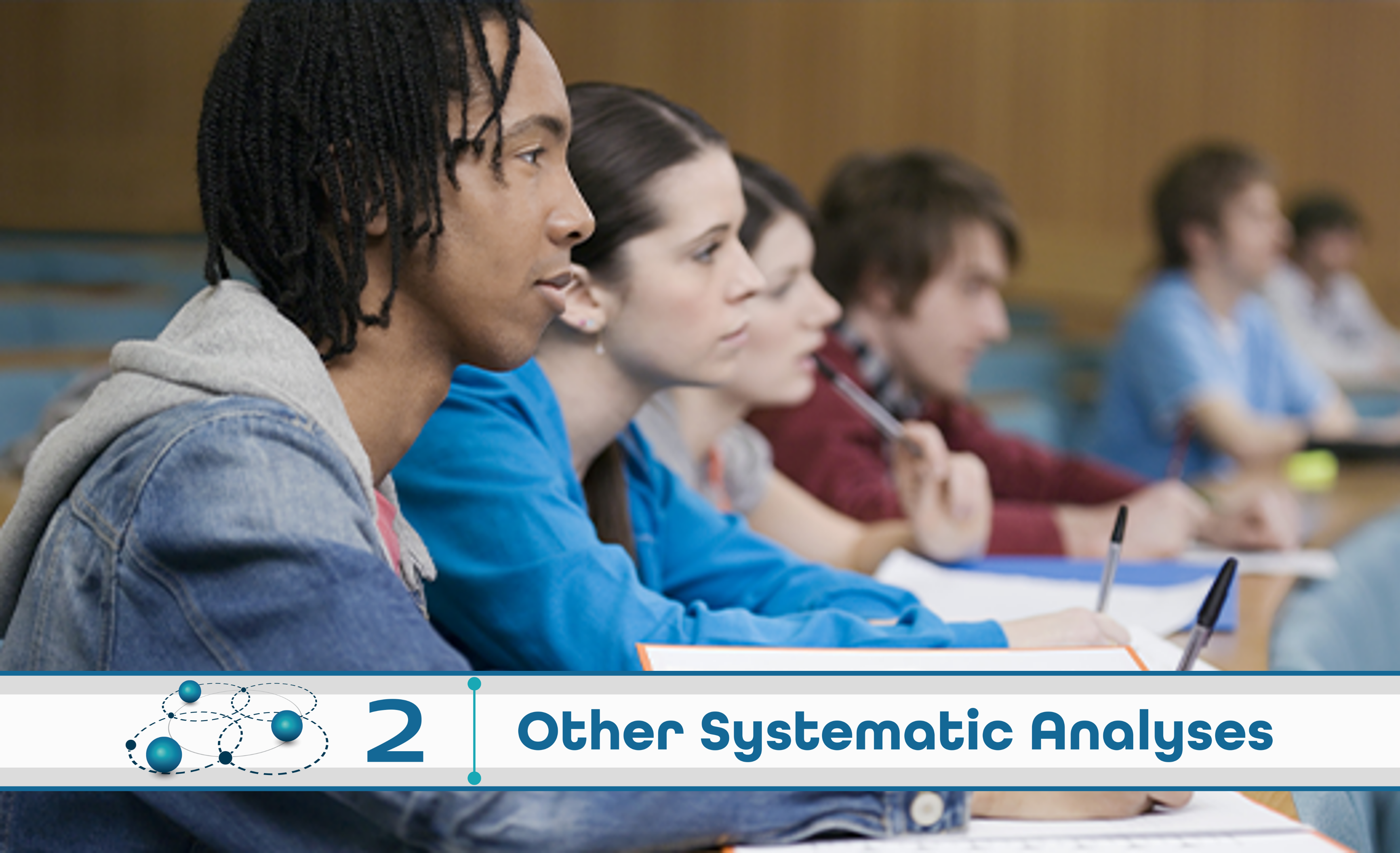 Level 2: Other Systematic Analysis