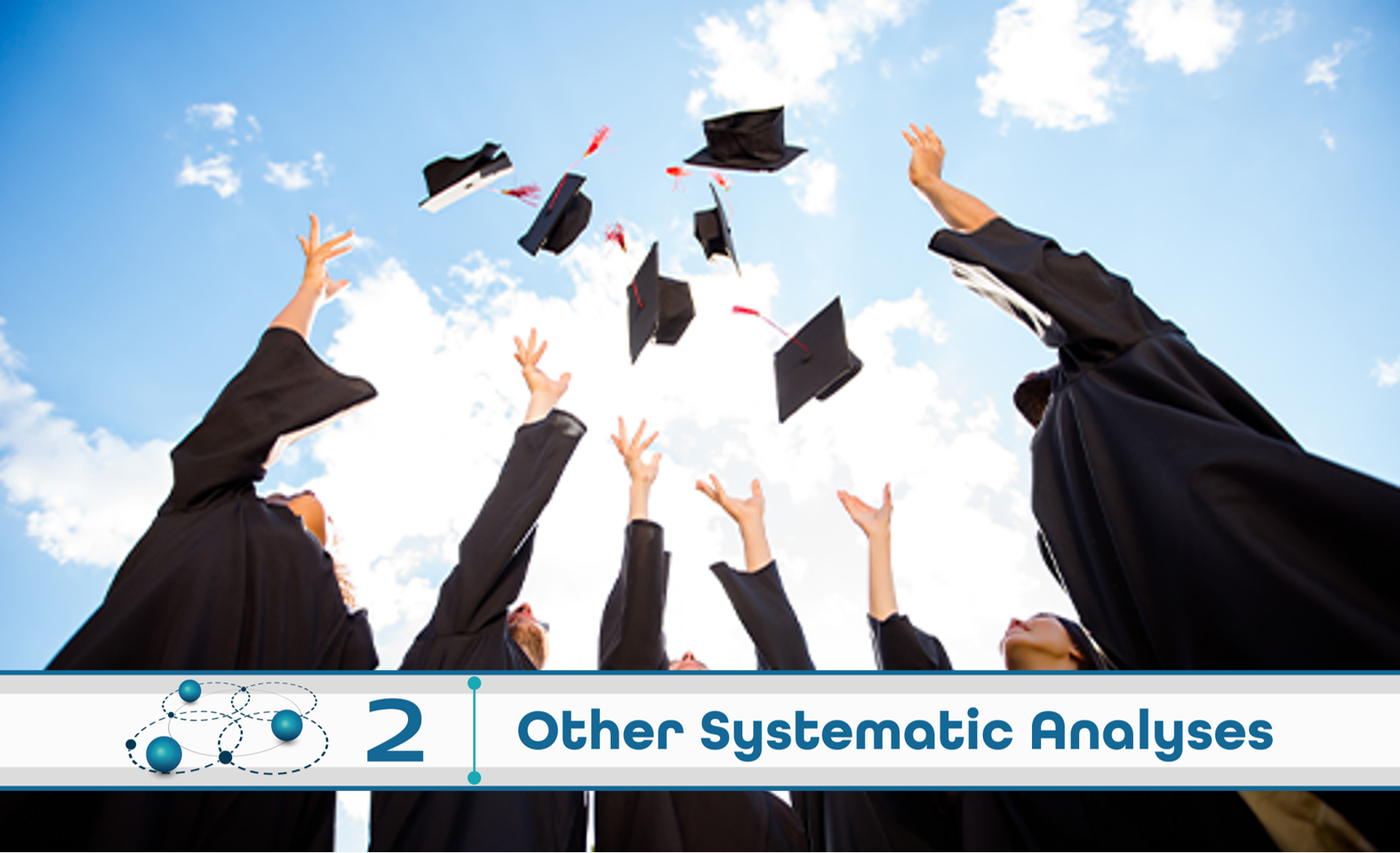  Level 2: Other Systematic Analysis