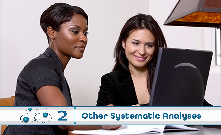 Level 2: Other Systematic Analysis
