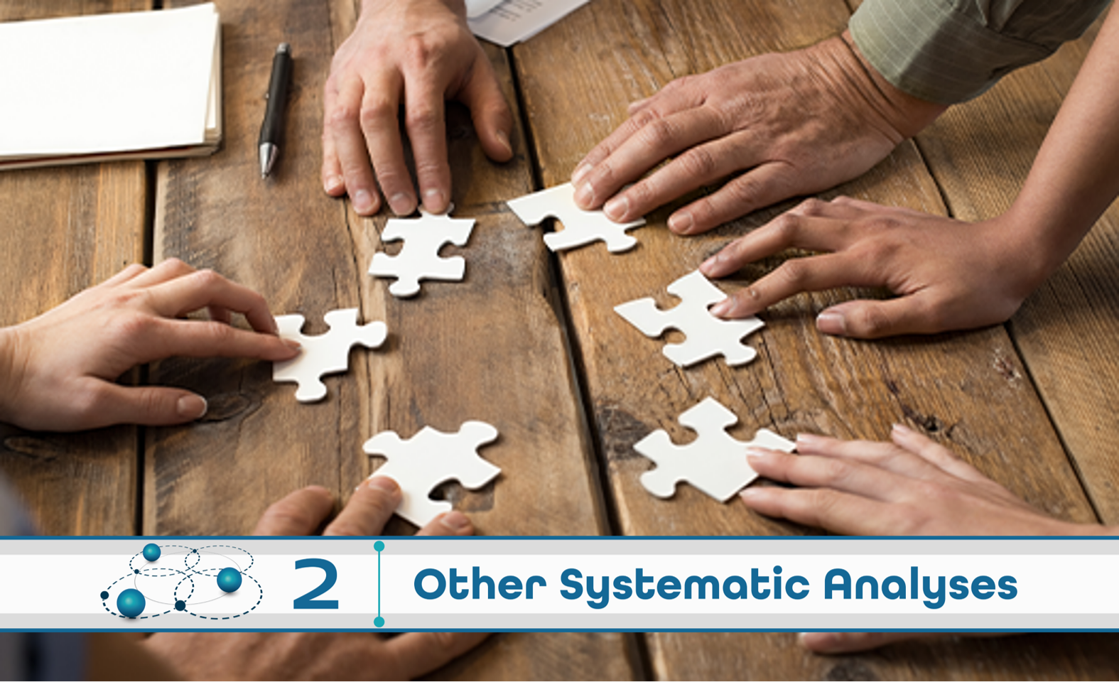 Level 2: Other Systematic Analysis