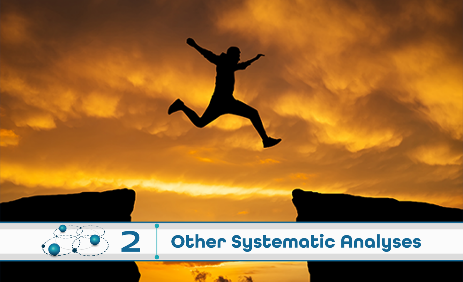 Level 2: Other Systematic Analysis
