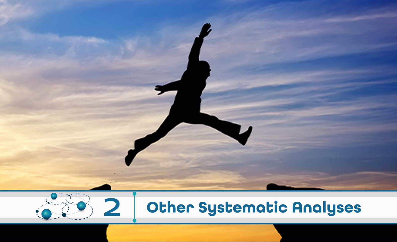 Level 2: Other Systematic Analysis
