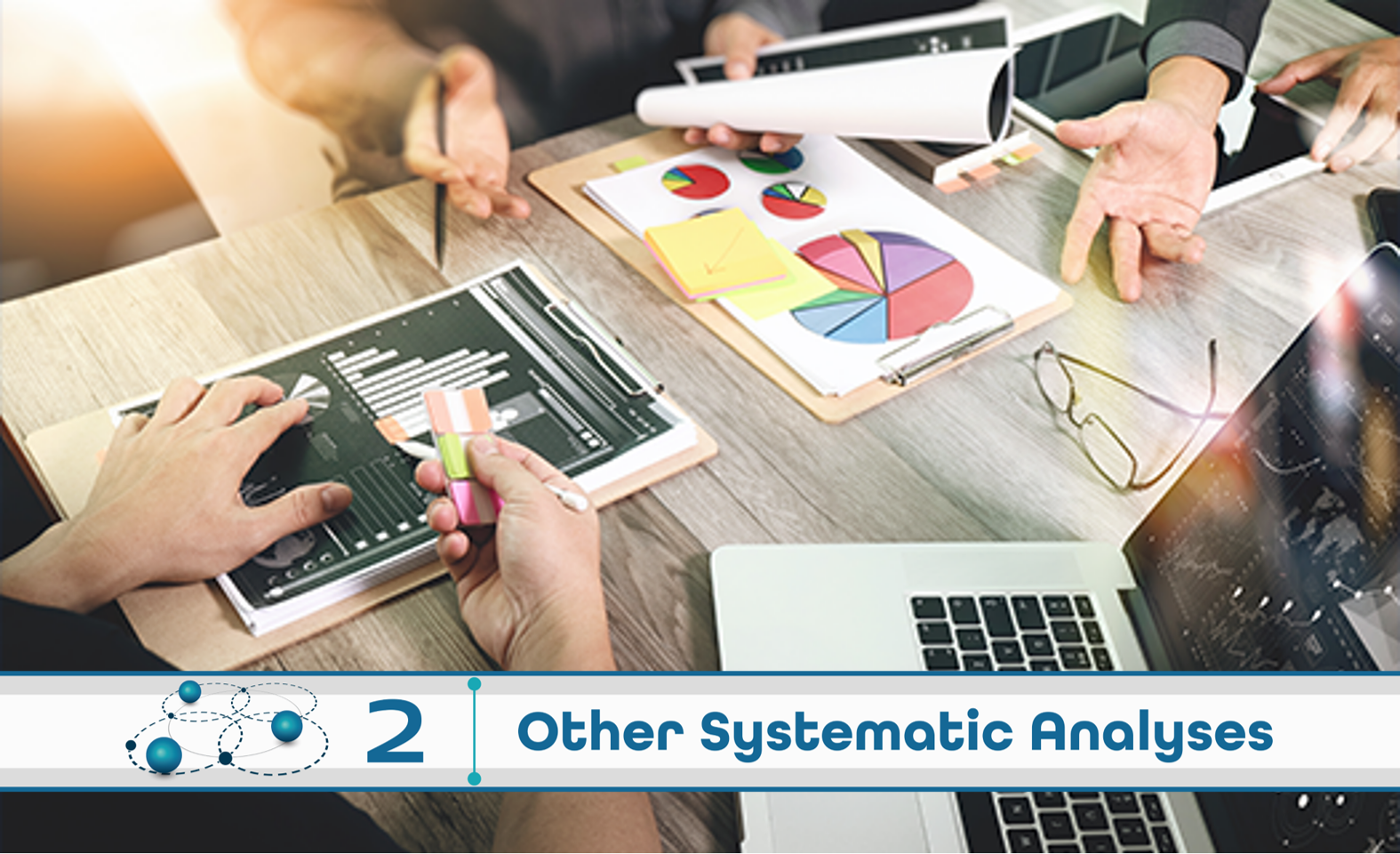 Level 2: Other Systematic Analysis