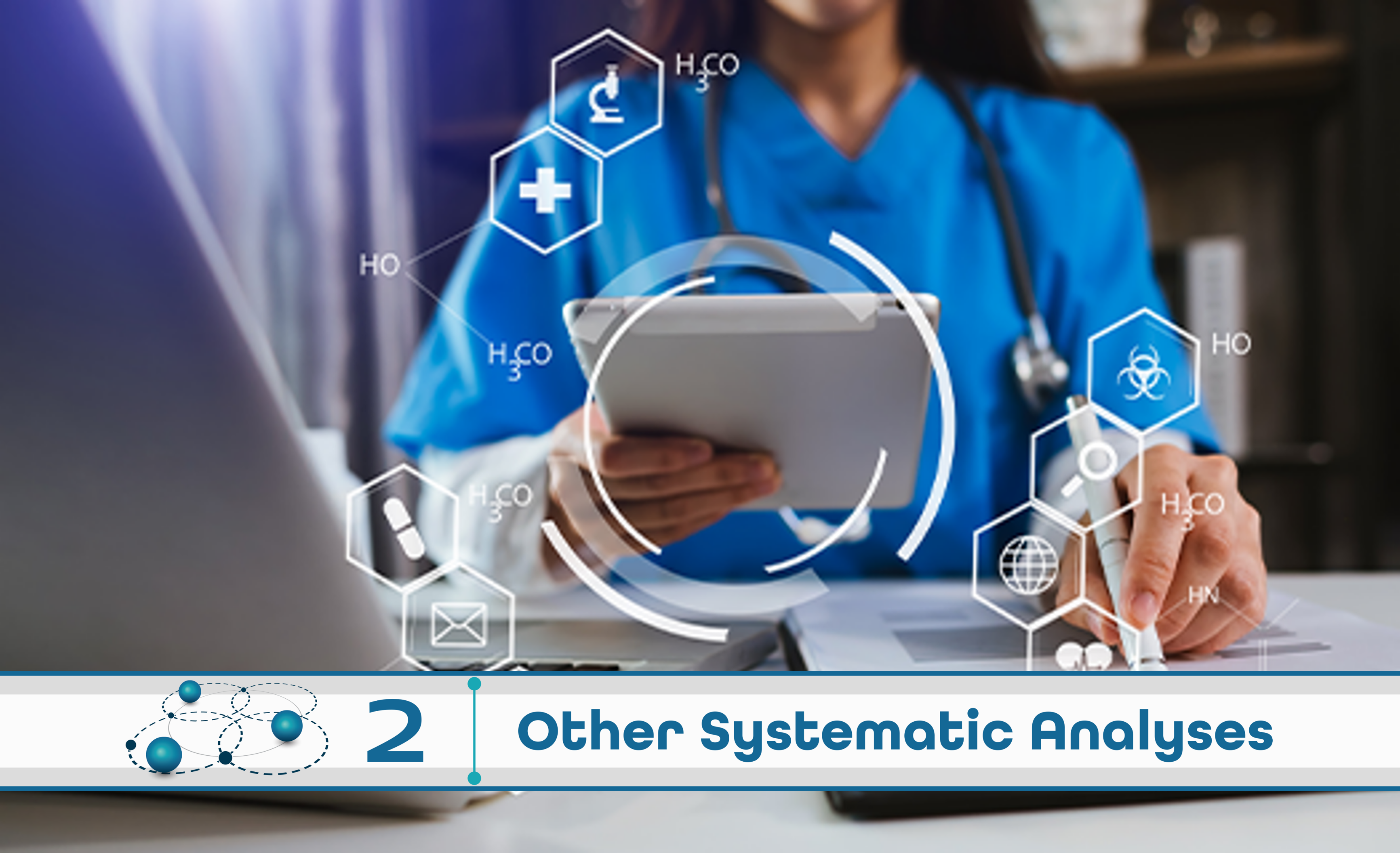 Level 2: Other Systematic Analysis