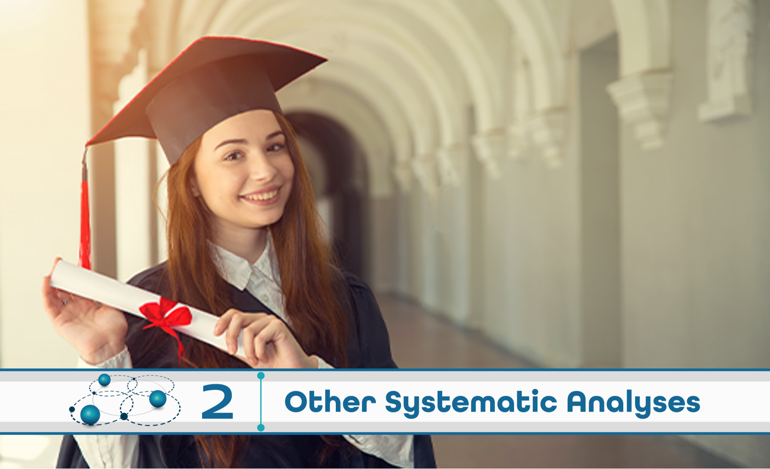 Level 2: Other Systematic Analysis