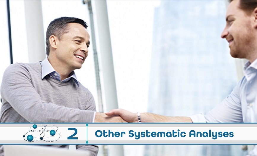 Level 2: Other Systematic Analysis
