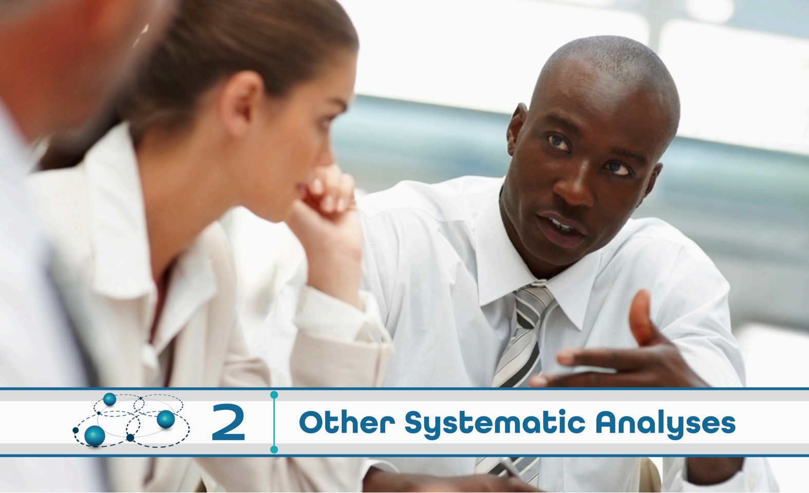 Level 2: Other Systematic Analysis