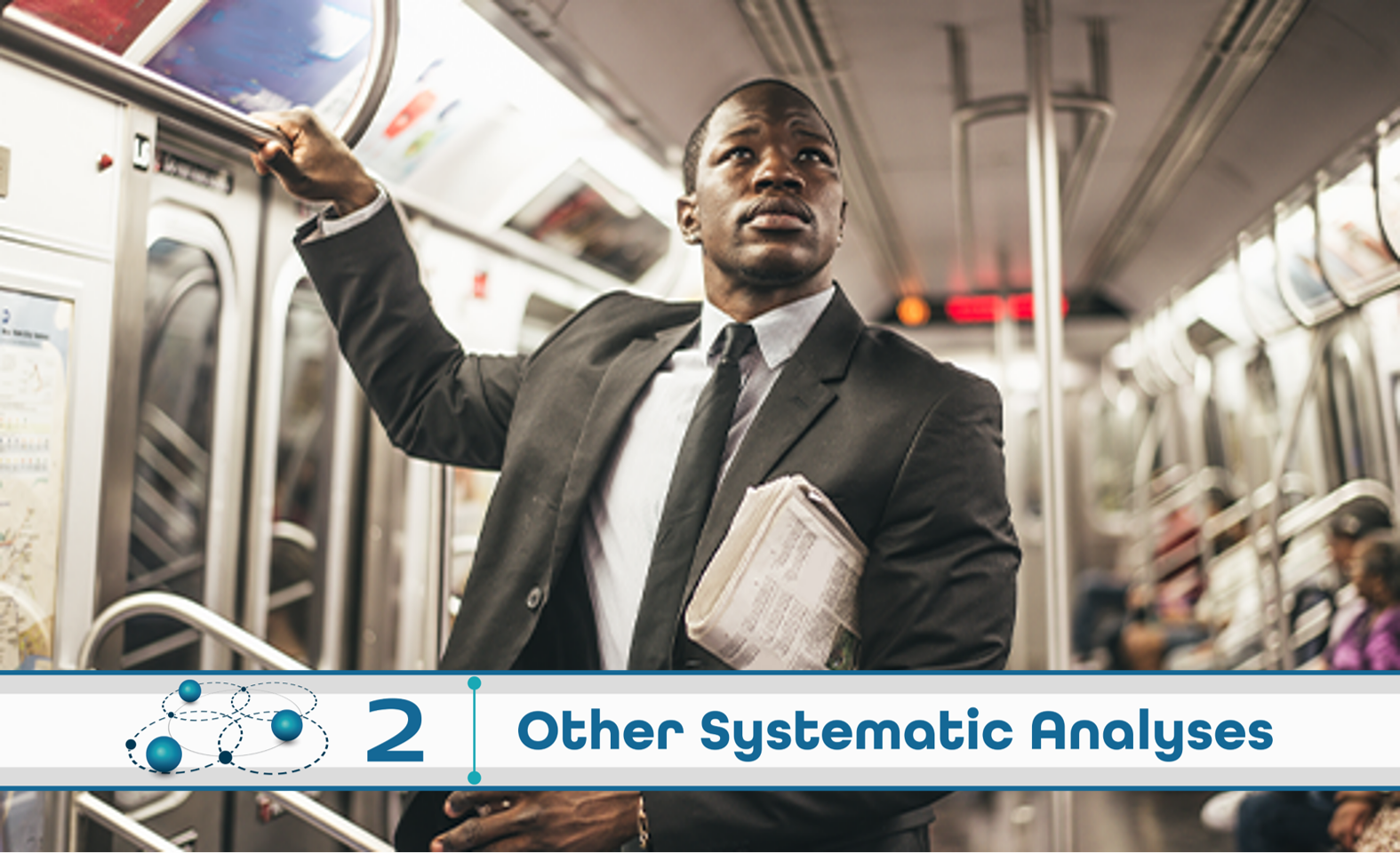 Level 2: Other Systematic Analysis
