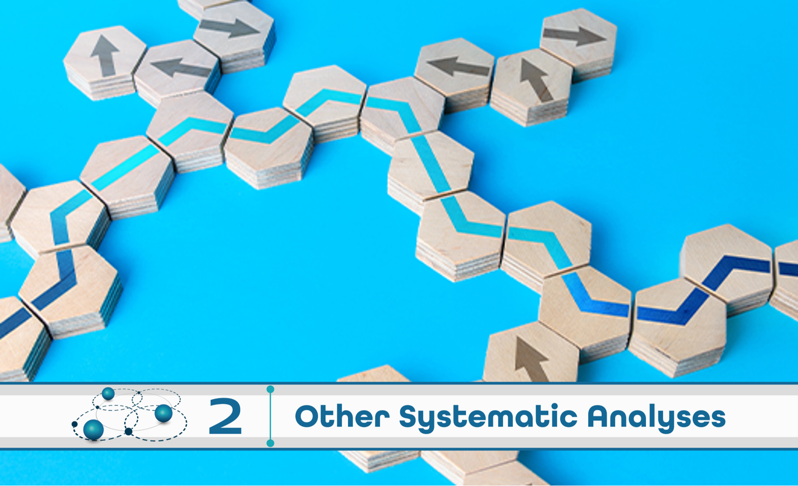 Level 2: Other Systematic Analysis