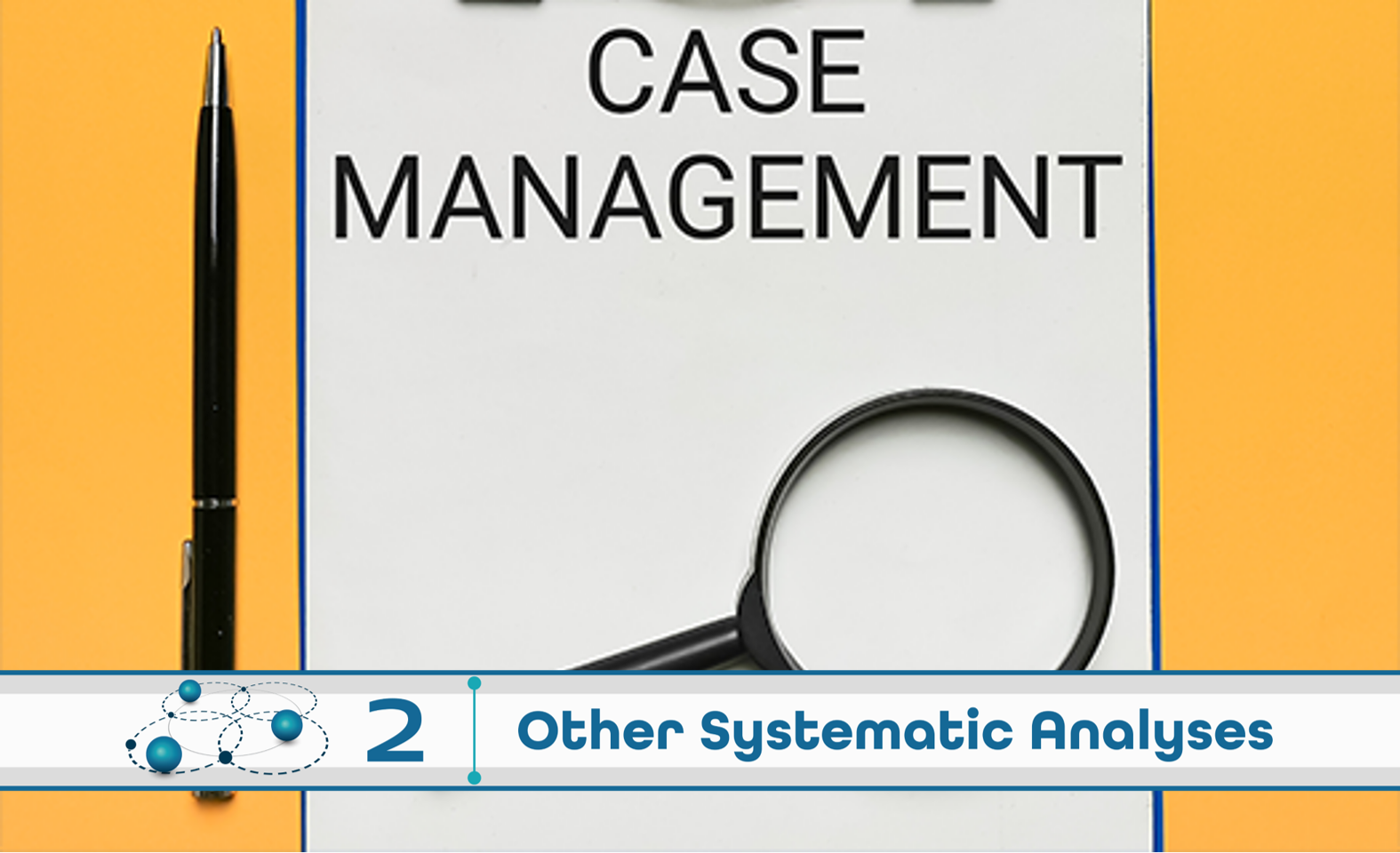 Level 2: Other Systematic Analysis