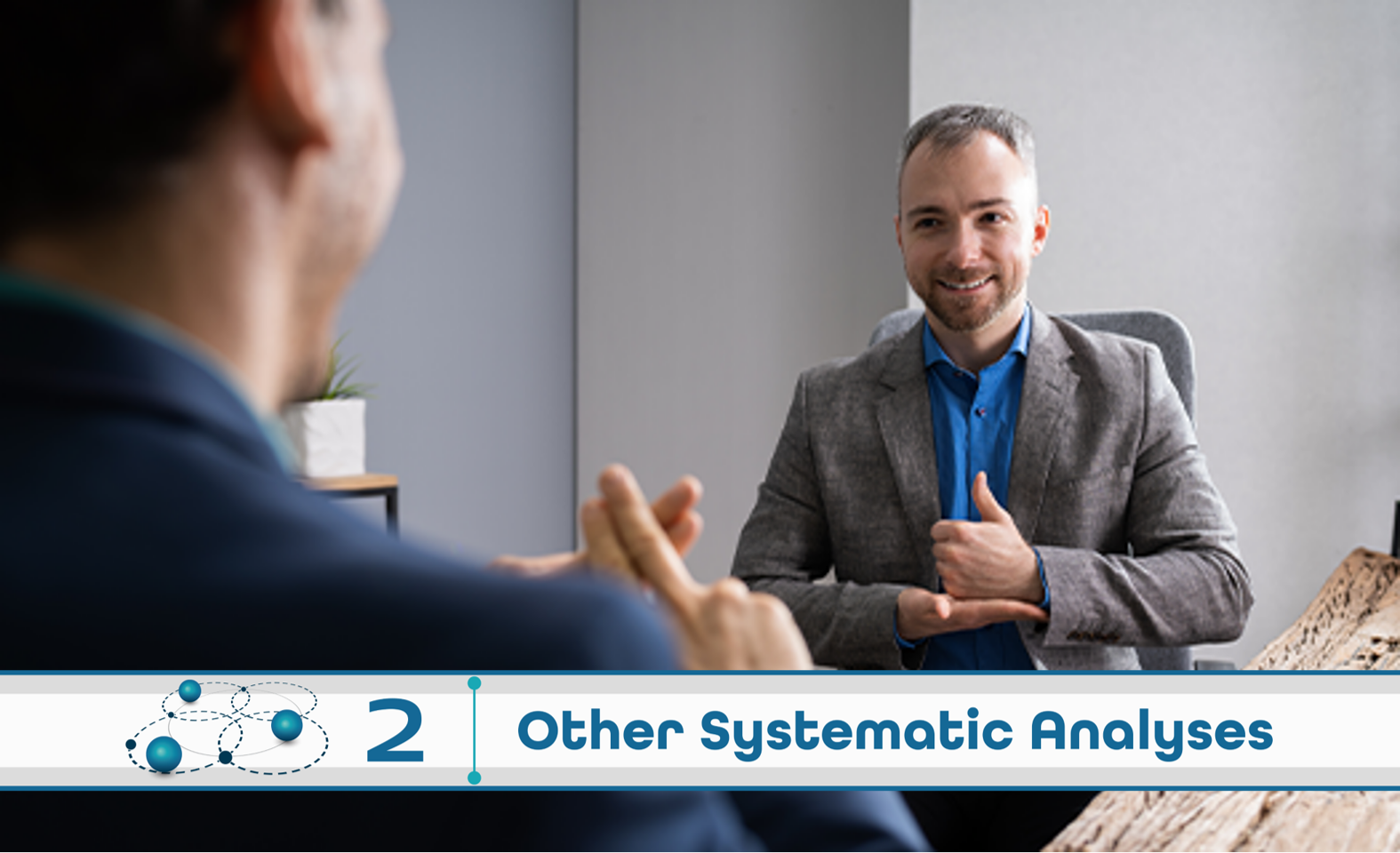 Level 2: Other Systematic Analysis