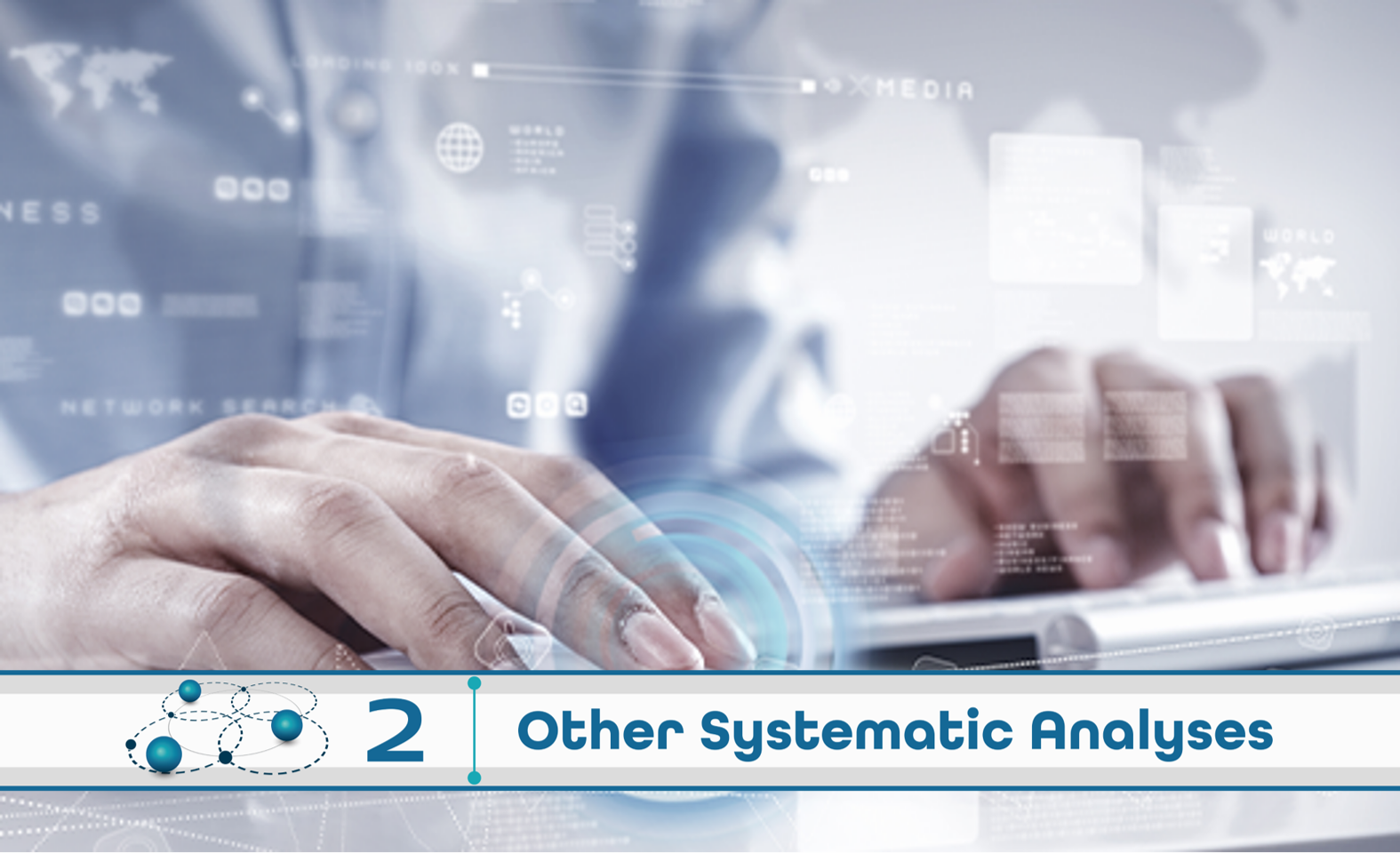 Level 2: Other Systematic Analysis