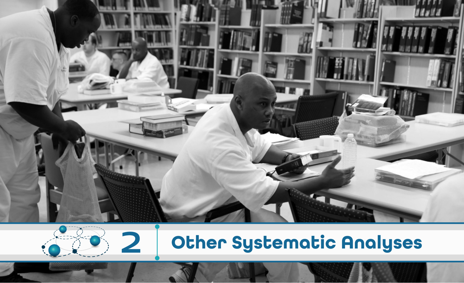 Level 2: Other Systematic Analysis