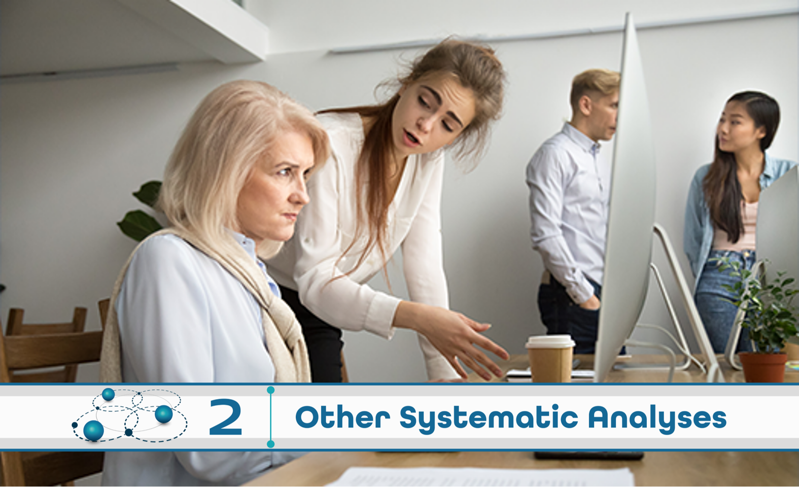 Level 2: Other Systematic Analysis