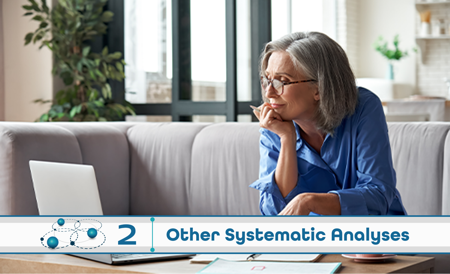 Level 2: Other Systematic Analysis