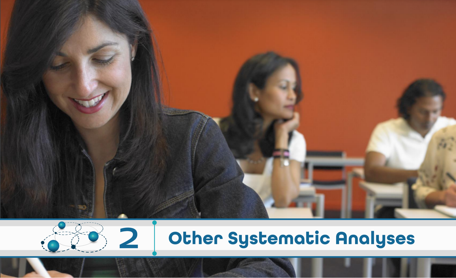 Level 2: Other Systematic Analysis