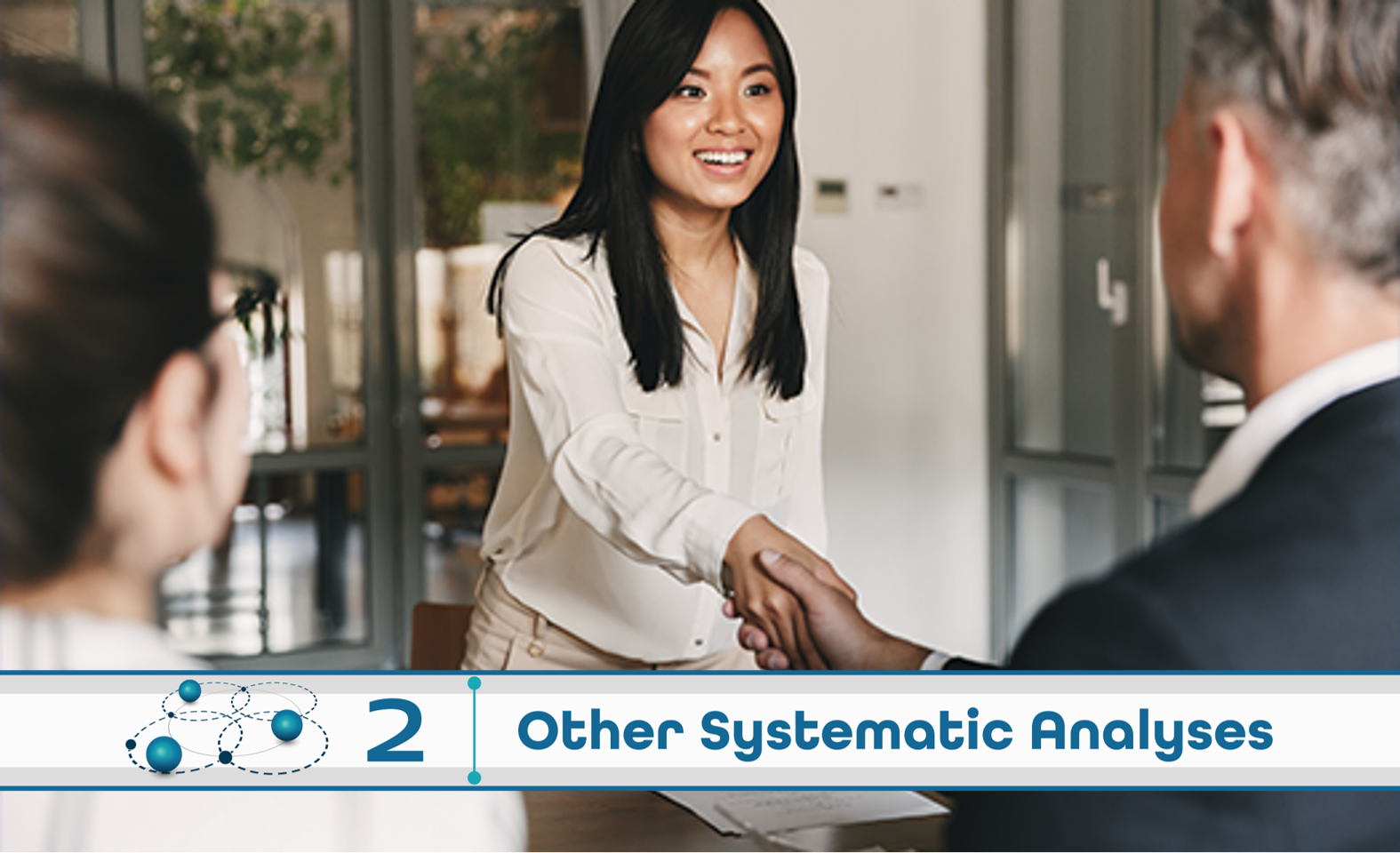 Level 2: Other Systematic Analysis