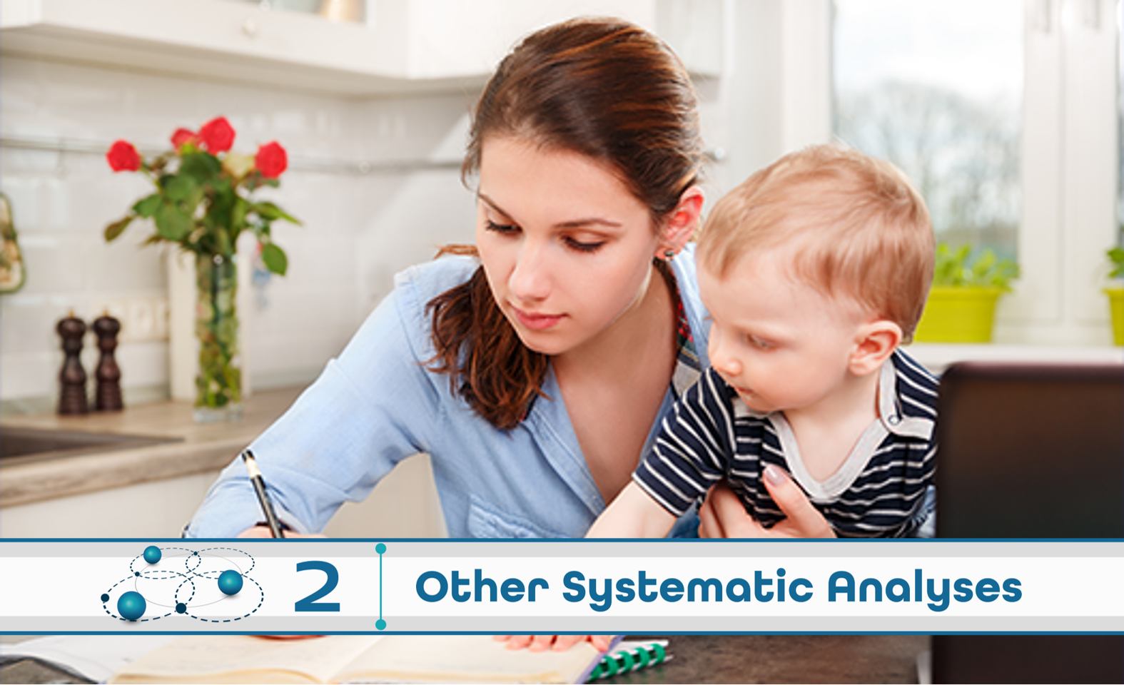 Level 2: Other Systematic Analysis